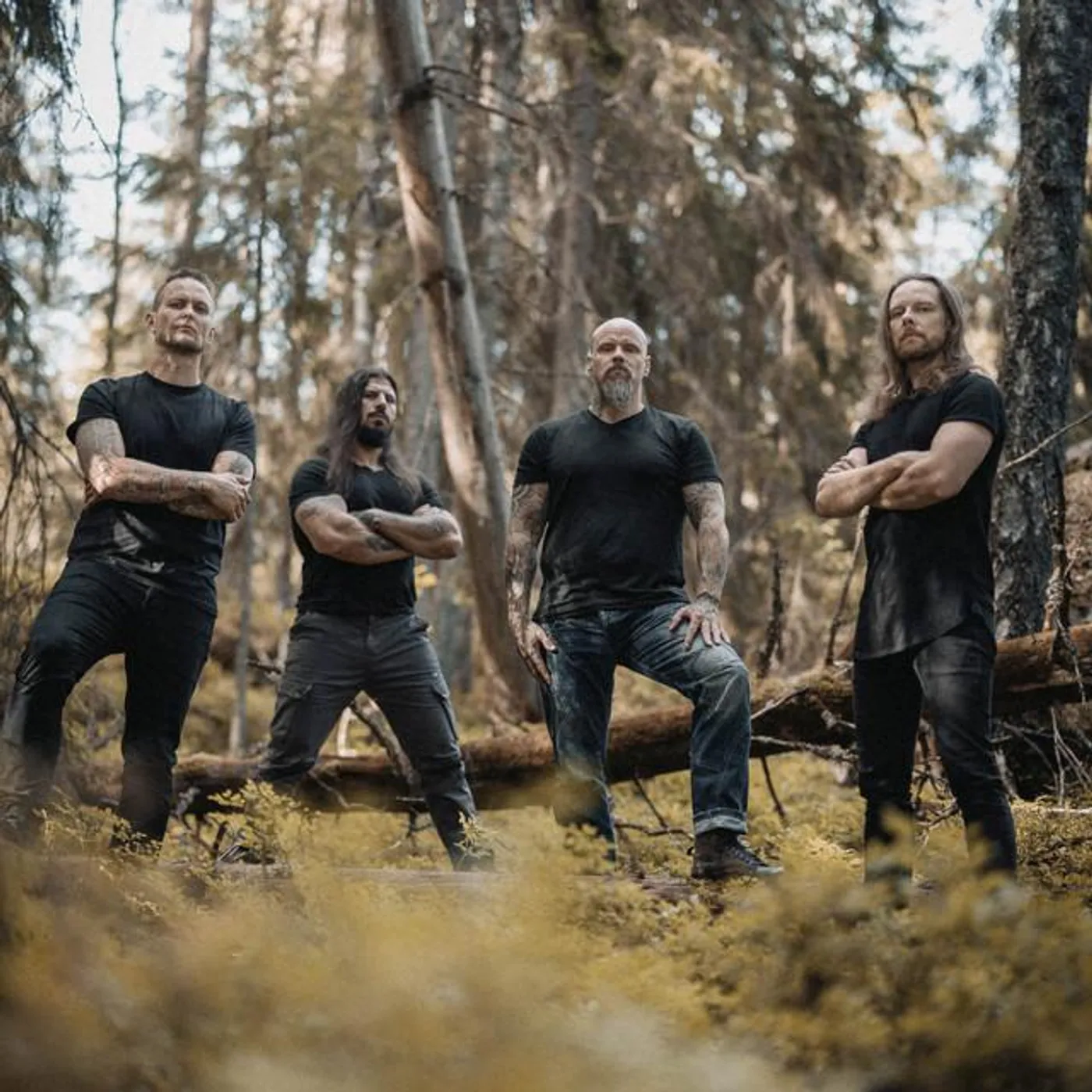 Wolfheart Brand Page