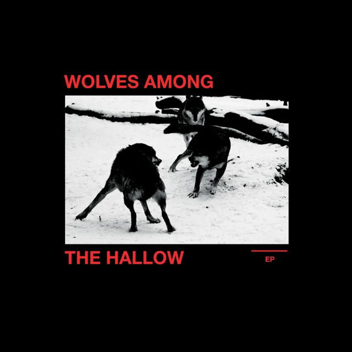Wolves Among the Hallow