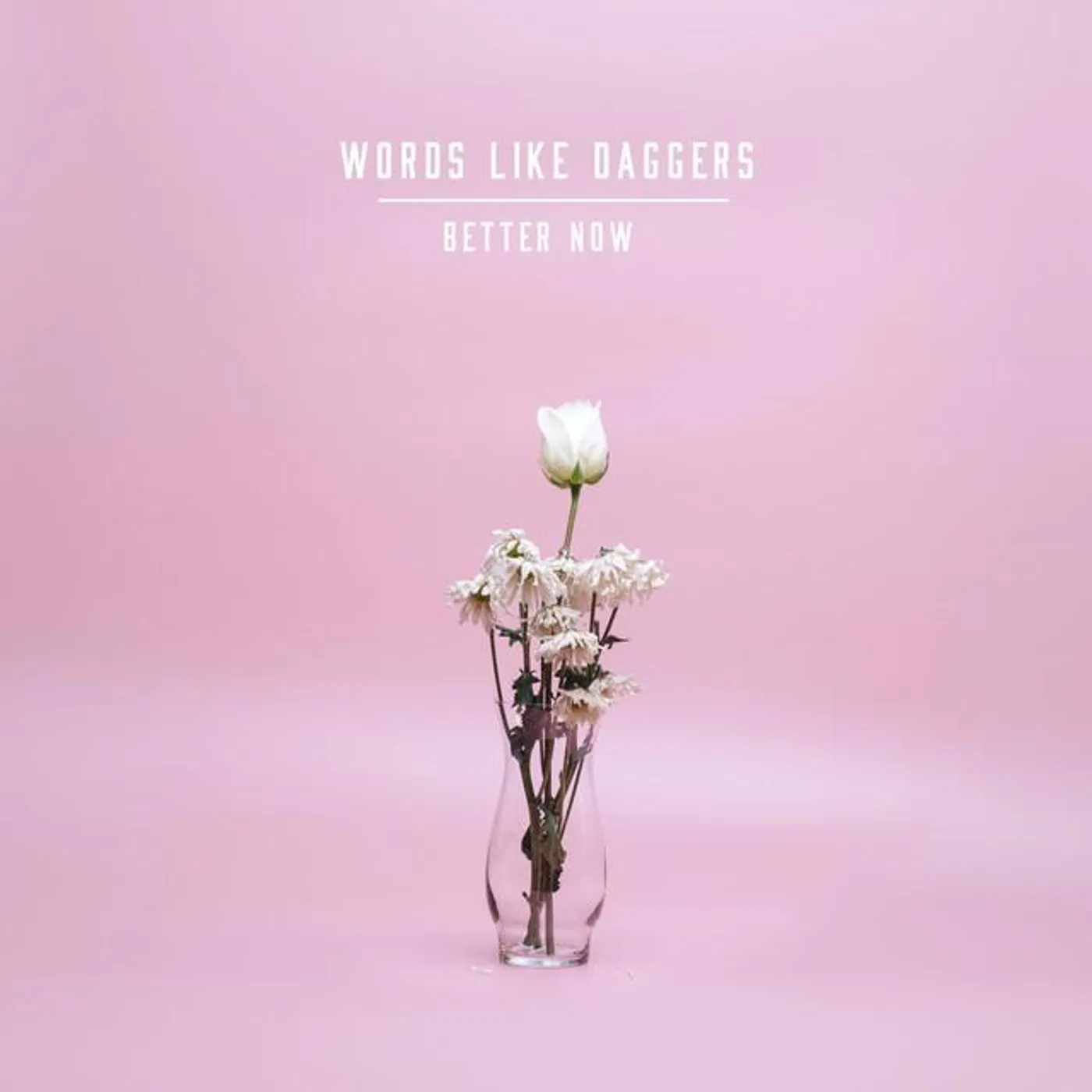 Words Like Daggers Brand Page