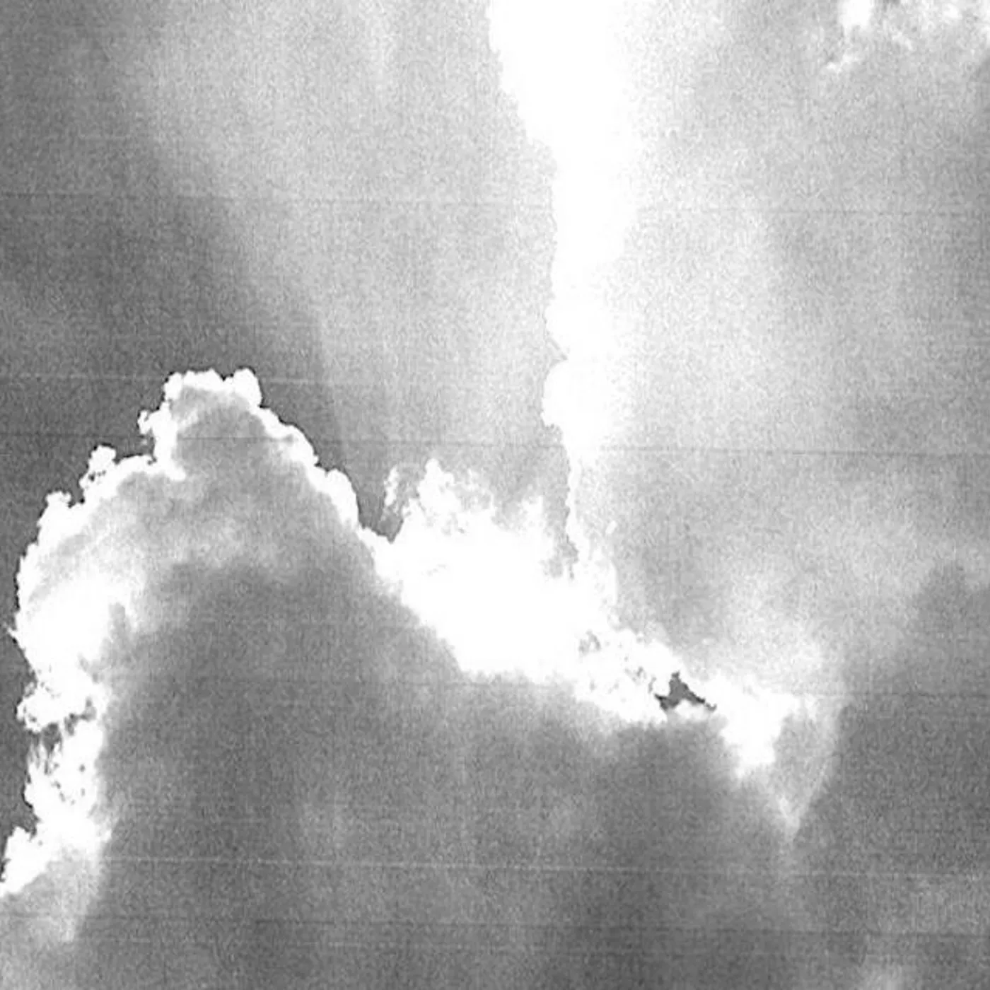 WORLD PEACE Brand Page