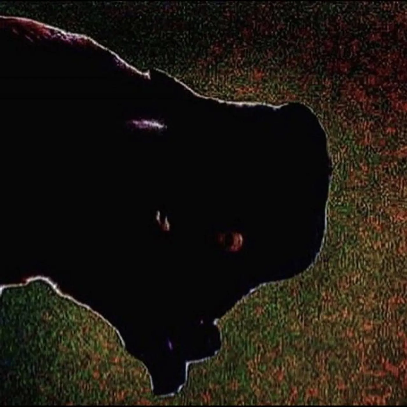 waveform* Brand Page