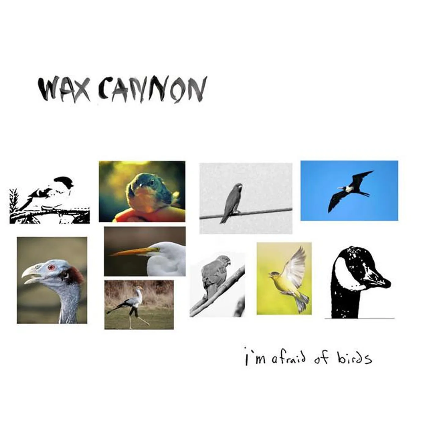 Wax Cannon