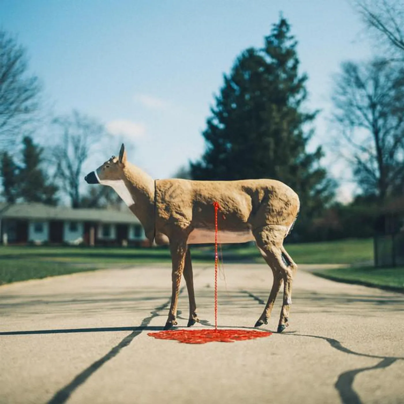 Wayne Graham Brand Page