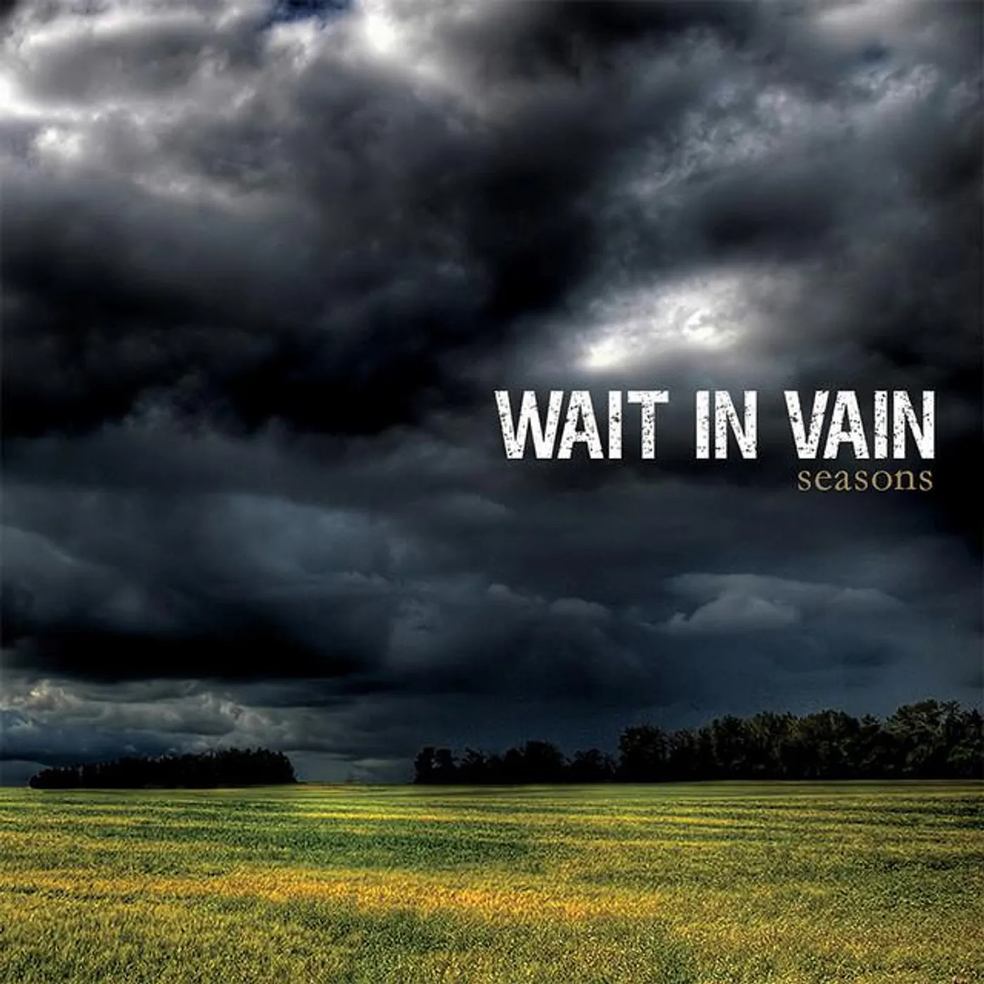 Wait In Vain Brand Page