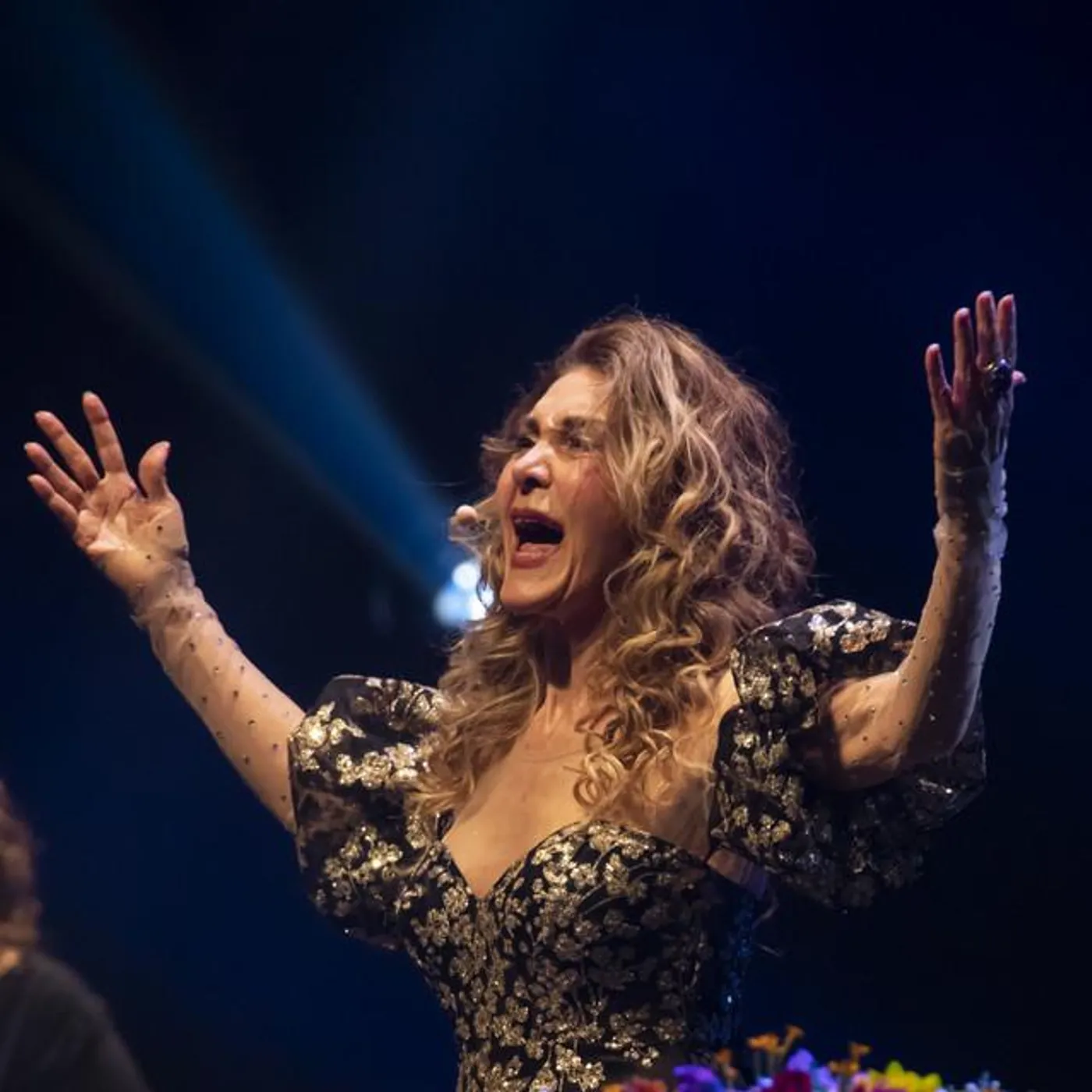 Wanderléa Brand Page