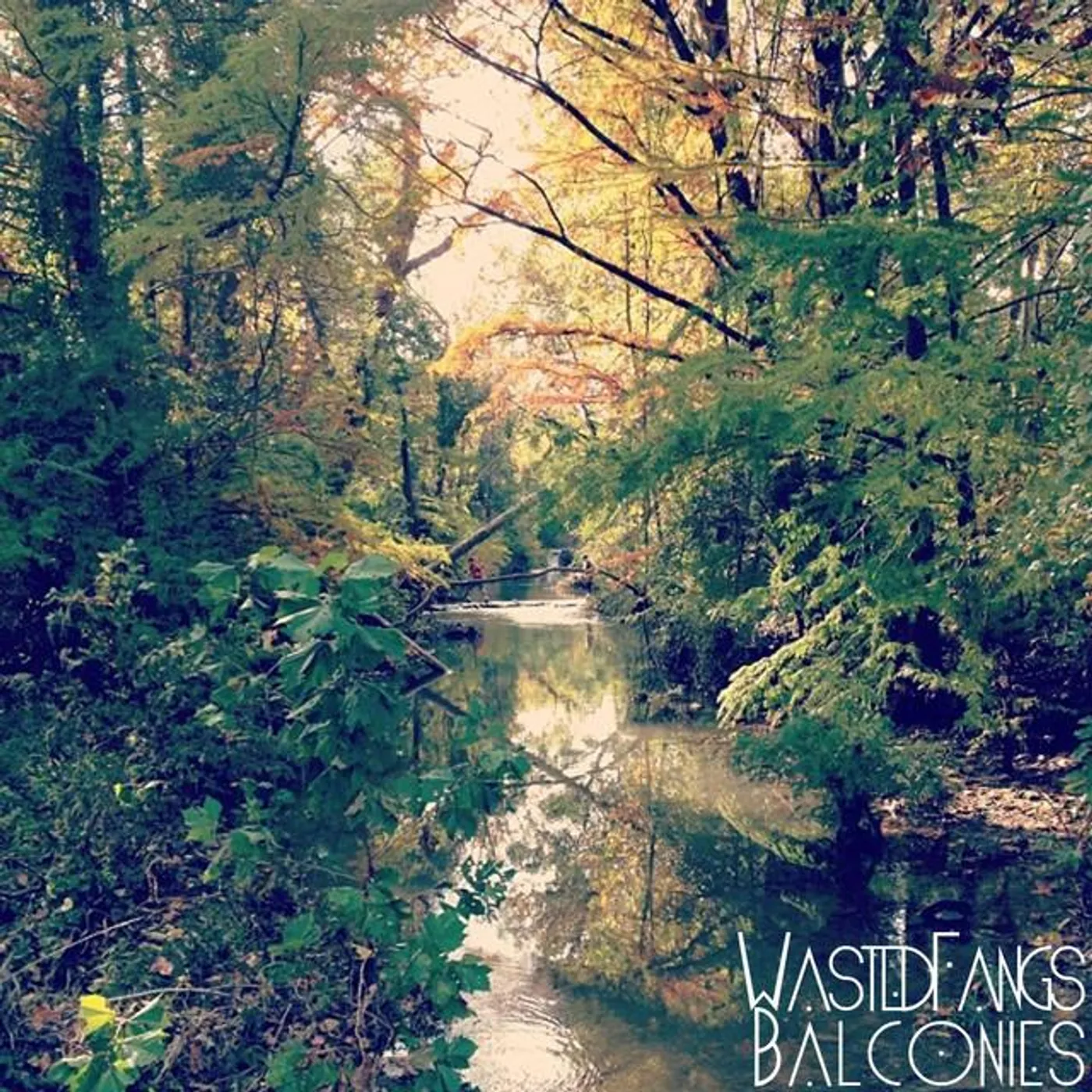 Wasted Fangs Brand Page