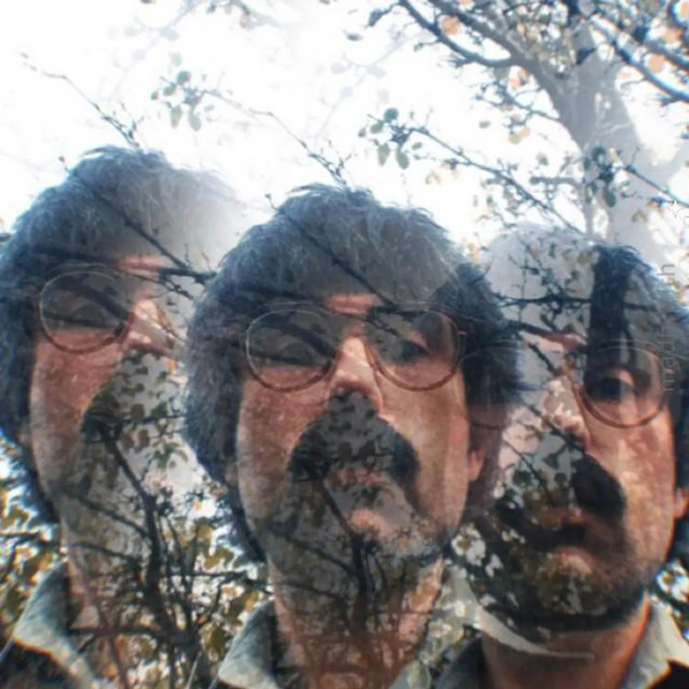 We Leave At Midnight