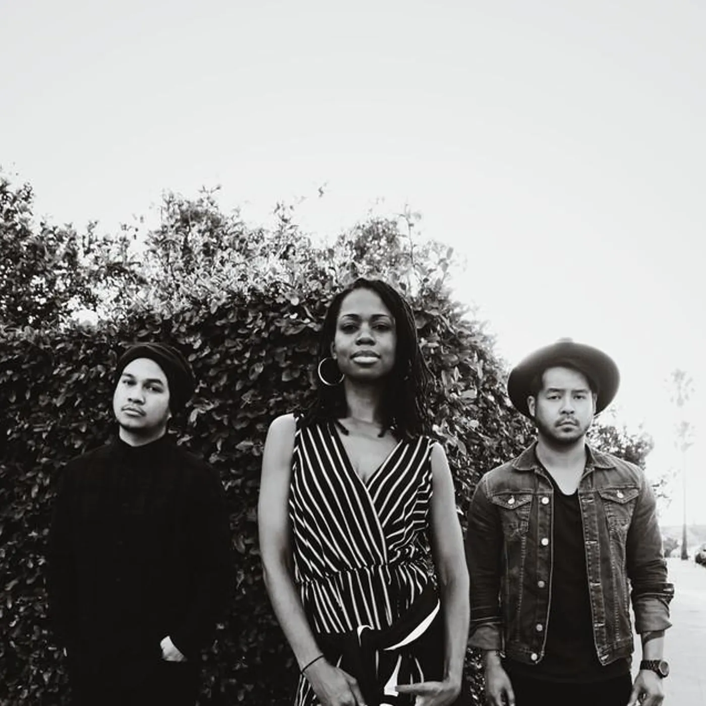 Wear Patterns Brand Page