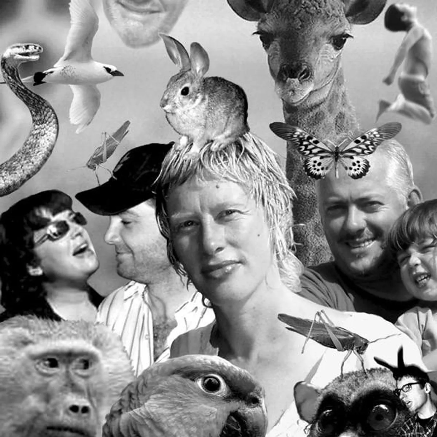 Wee Hairy Beasties Brand Page