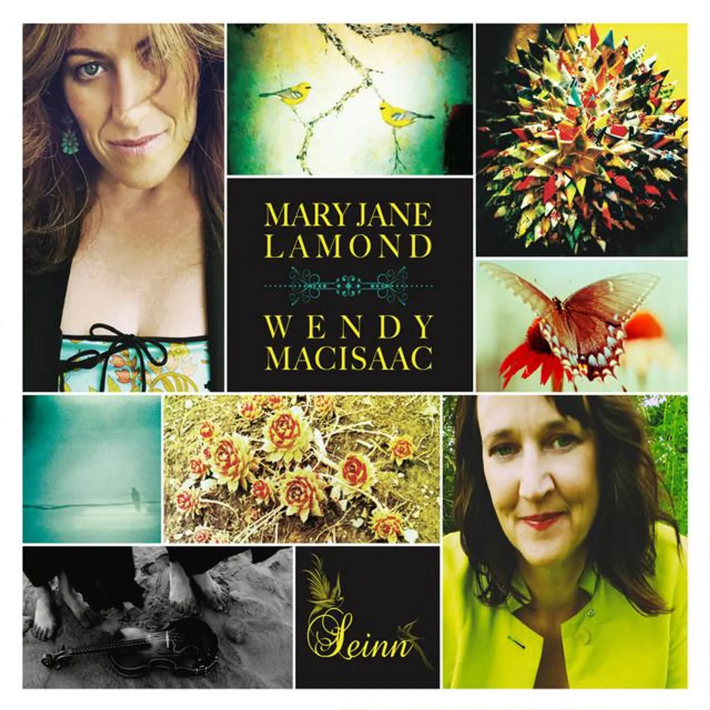Wendy MacIsaac Brand Page