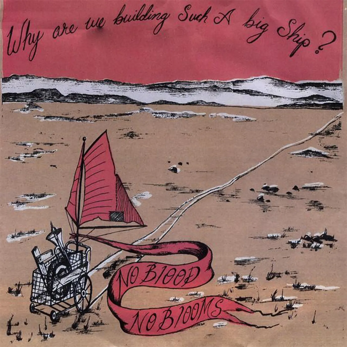 Why Are We Building Such a Big Ship?