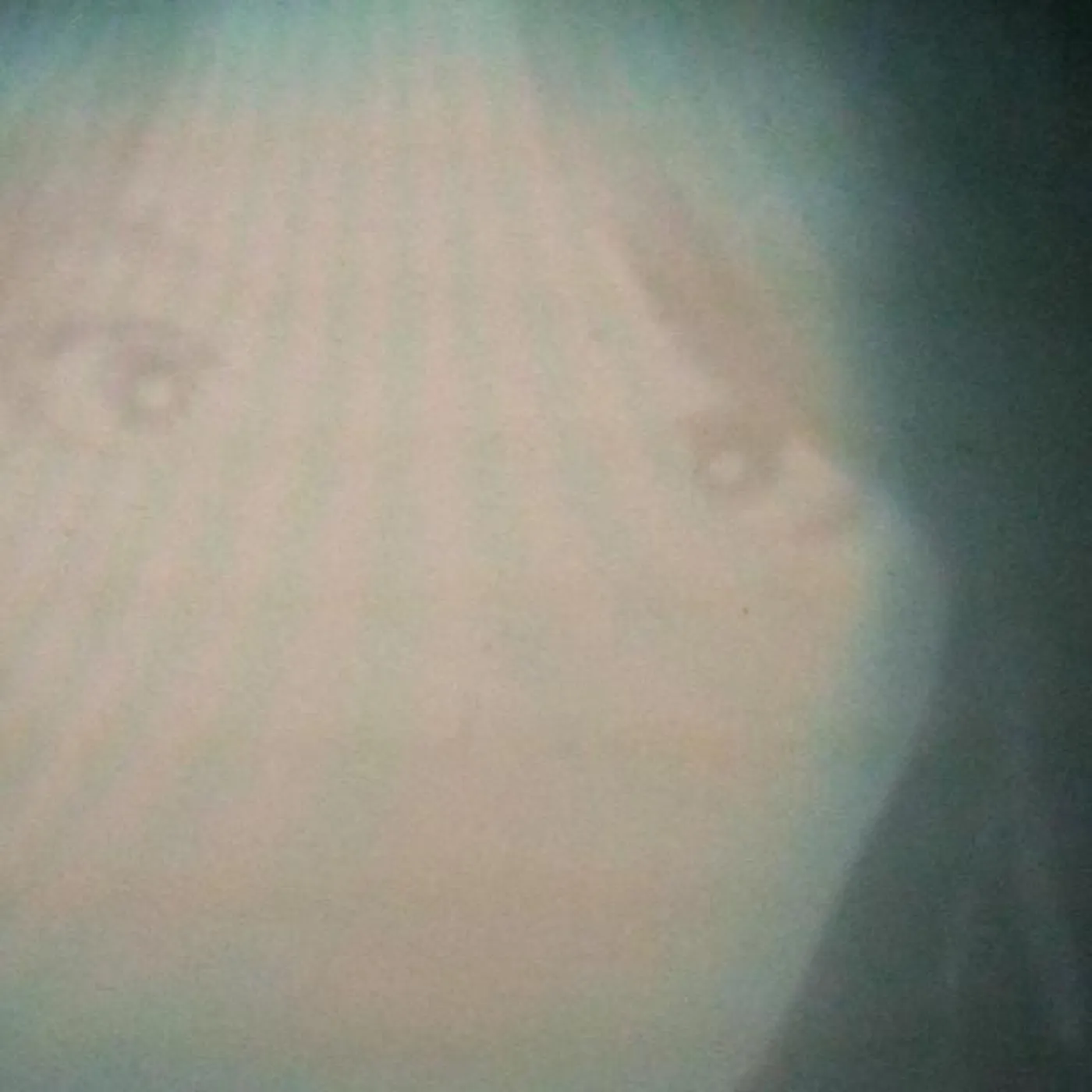 White Birds Brand Page