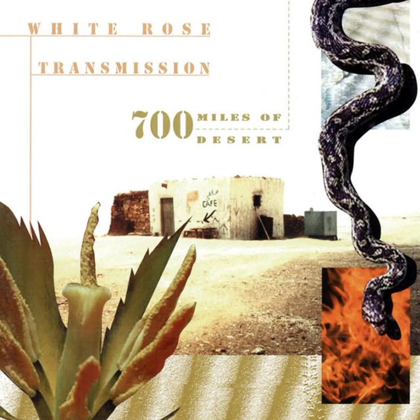 White Rose Transmission Brand Page