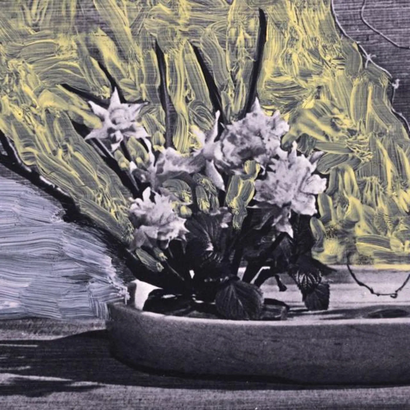 White Walls Brand Page