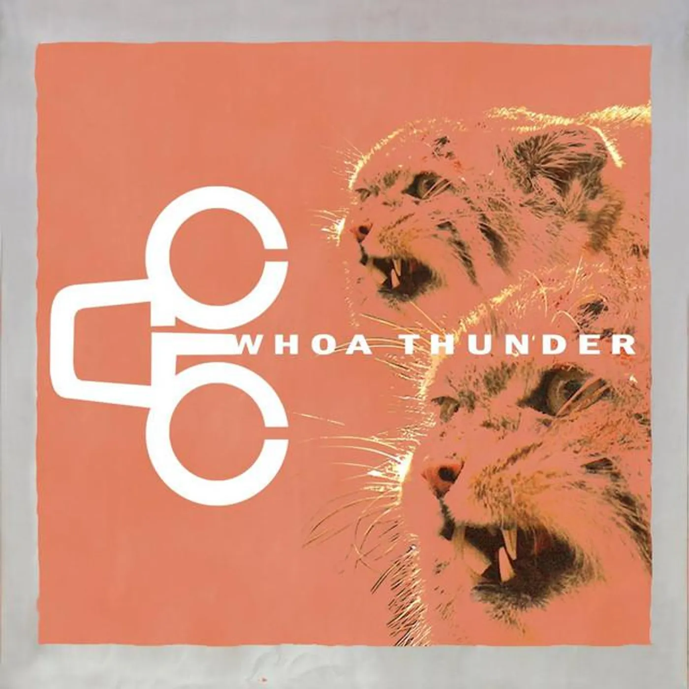 Whoa Thunder Brand Page