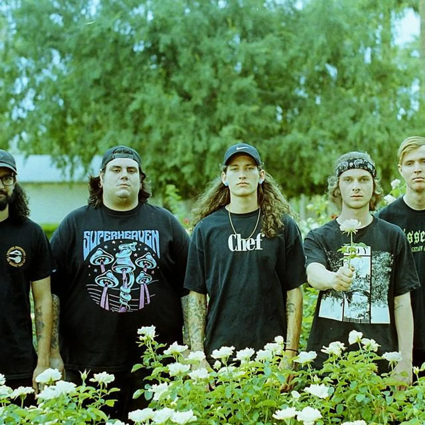 Withered Bones Brand Page