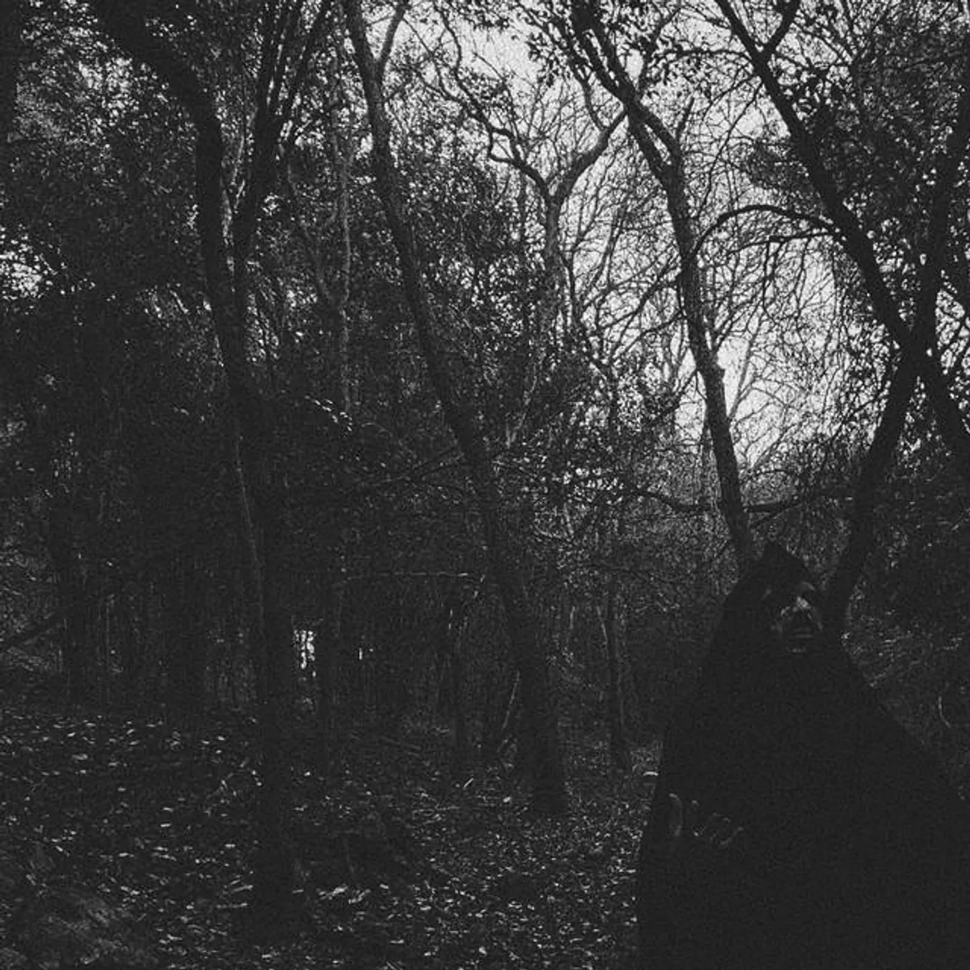 Within Thy Wounds Brand Page