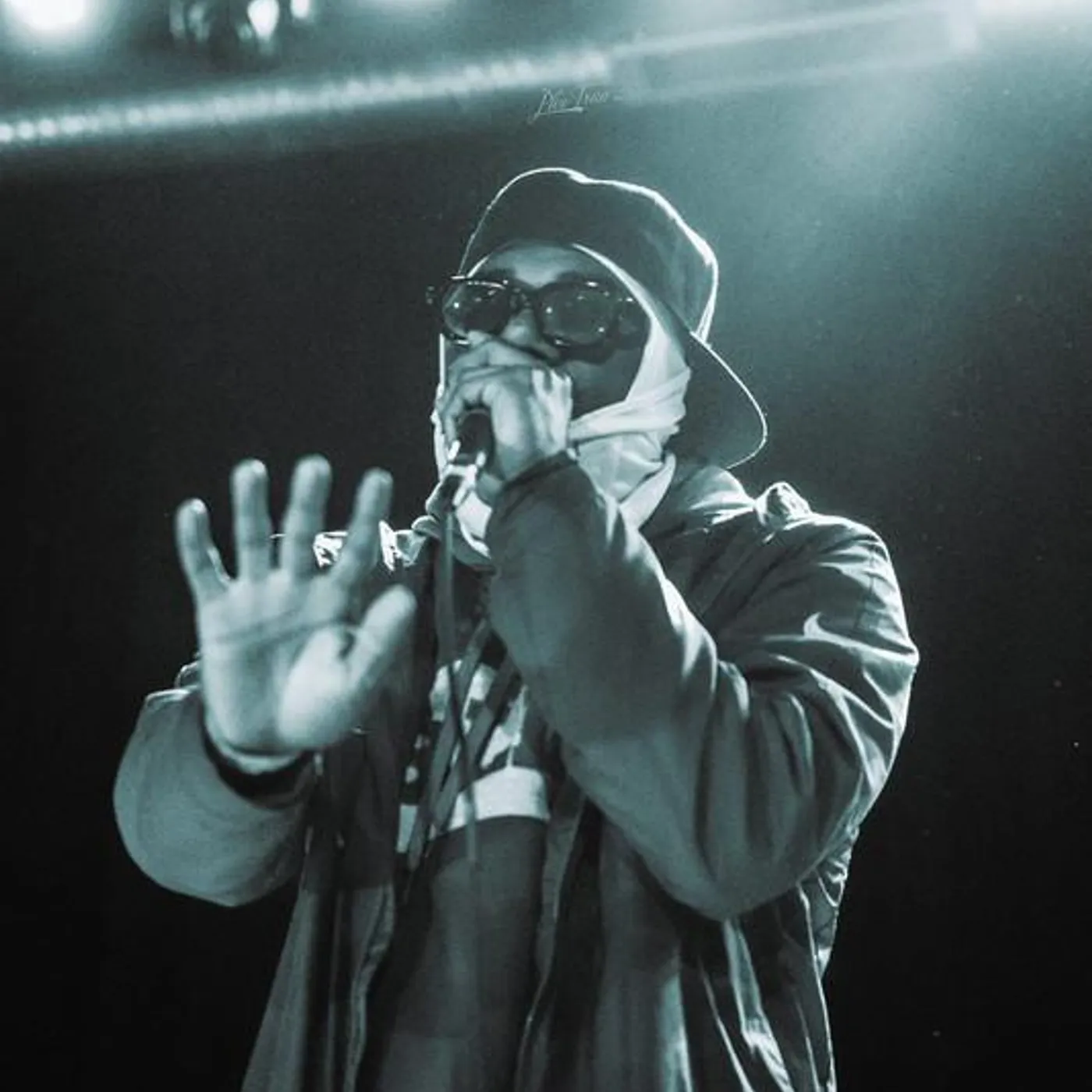 WizzleDaWzRd Brand Page