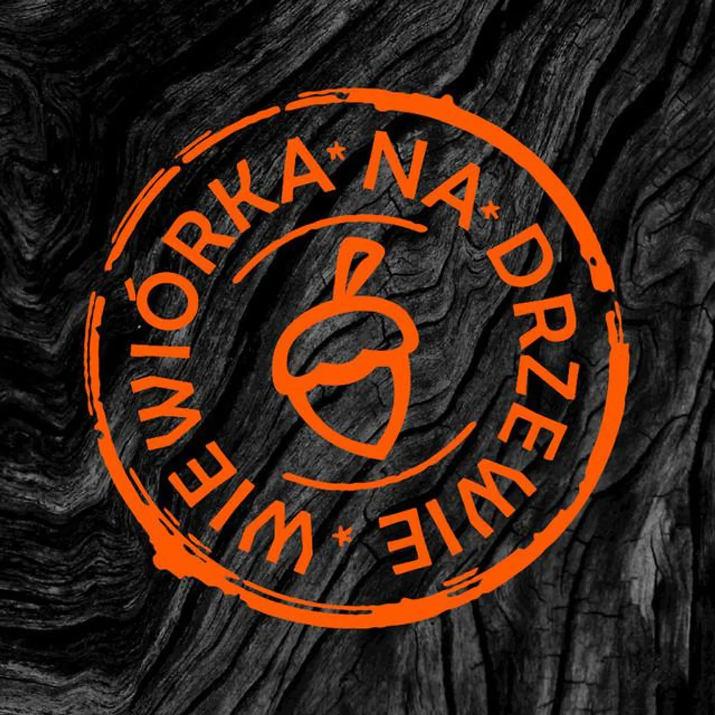 Wiewiórka na Drzewie