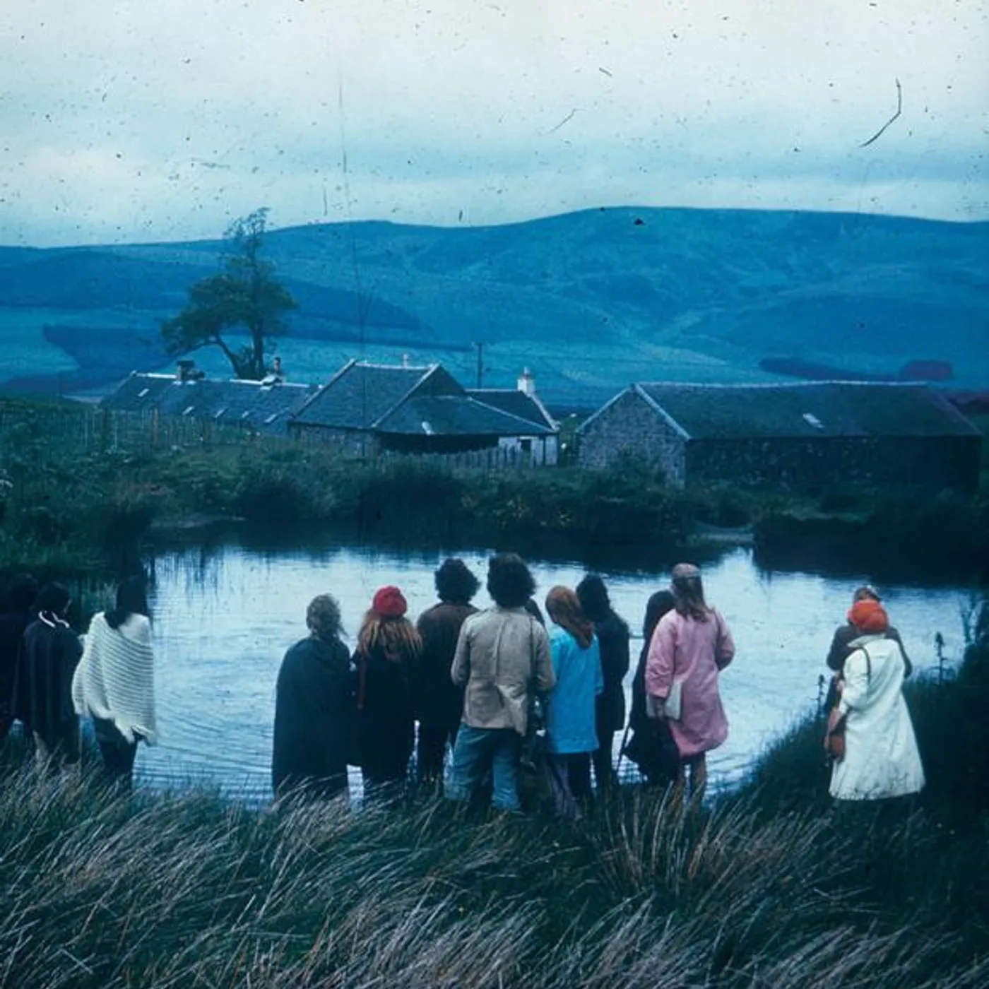 Wild Firth Brand Page