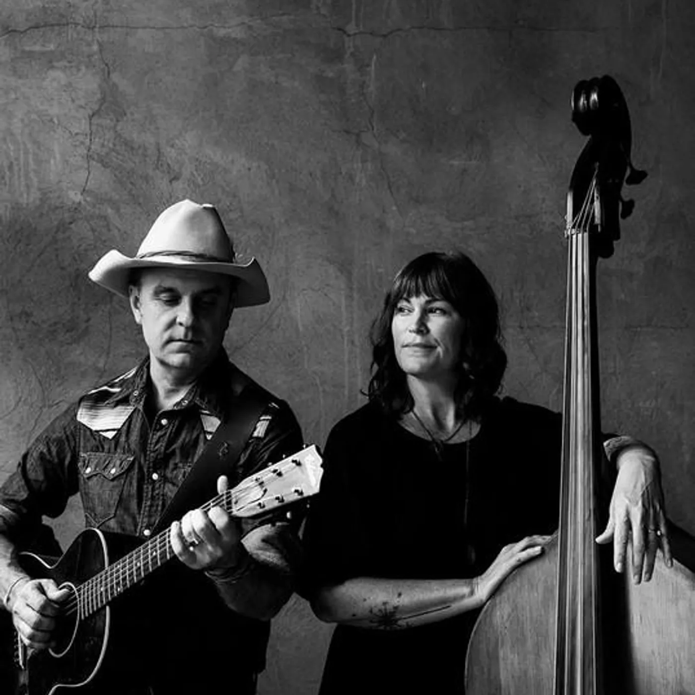 Wild Ponies Brand Page