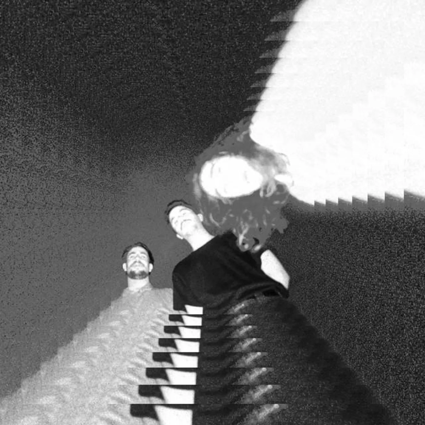 Wild Ripple Brand Page