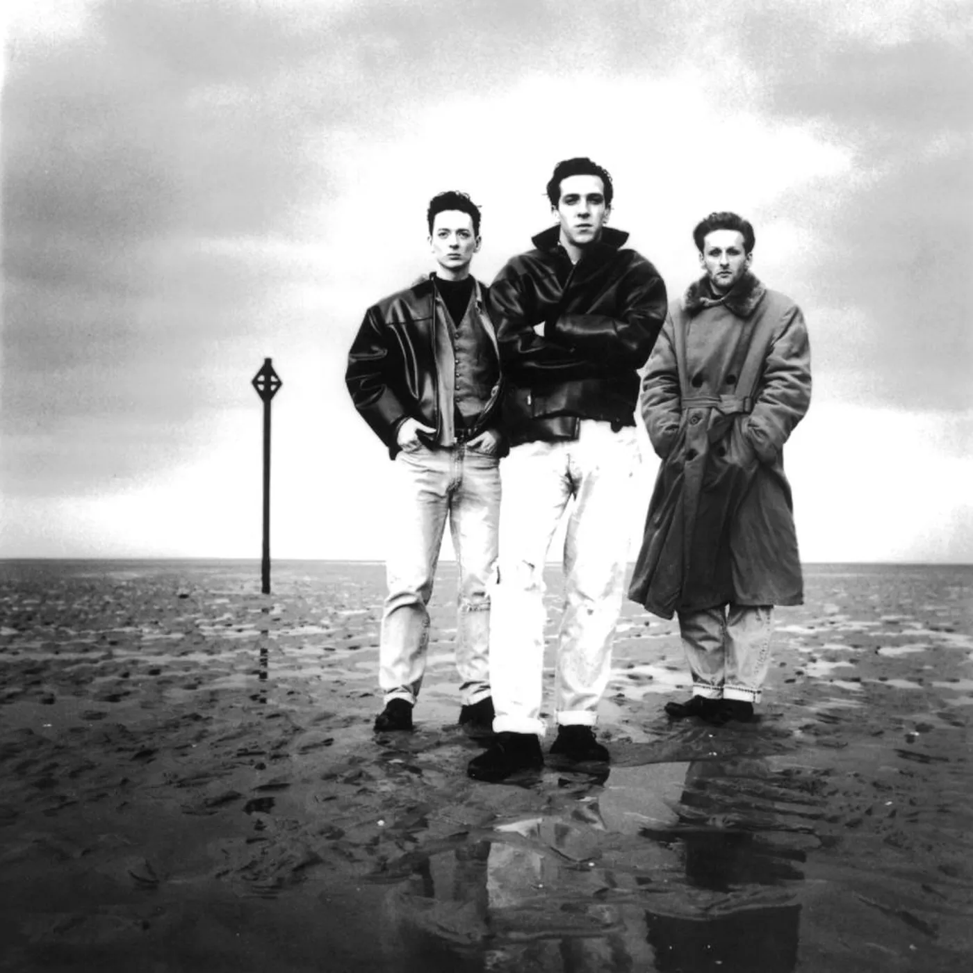 The Wild Swans Brand Page