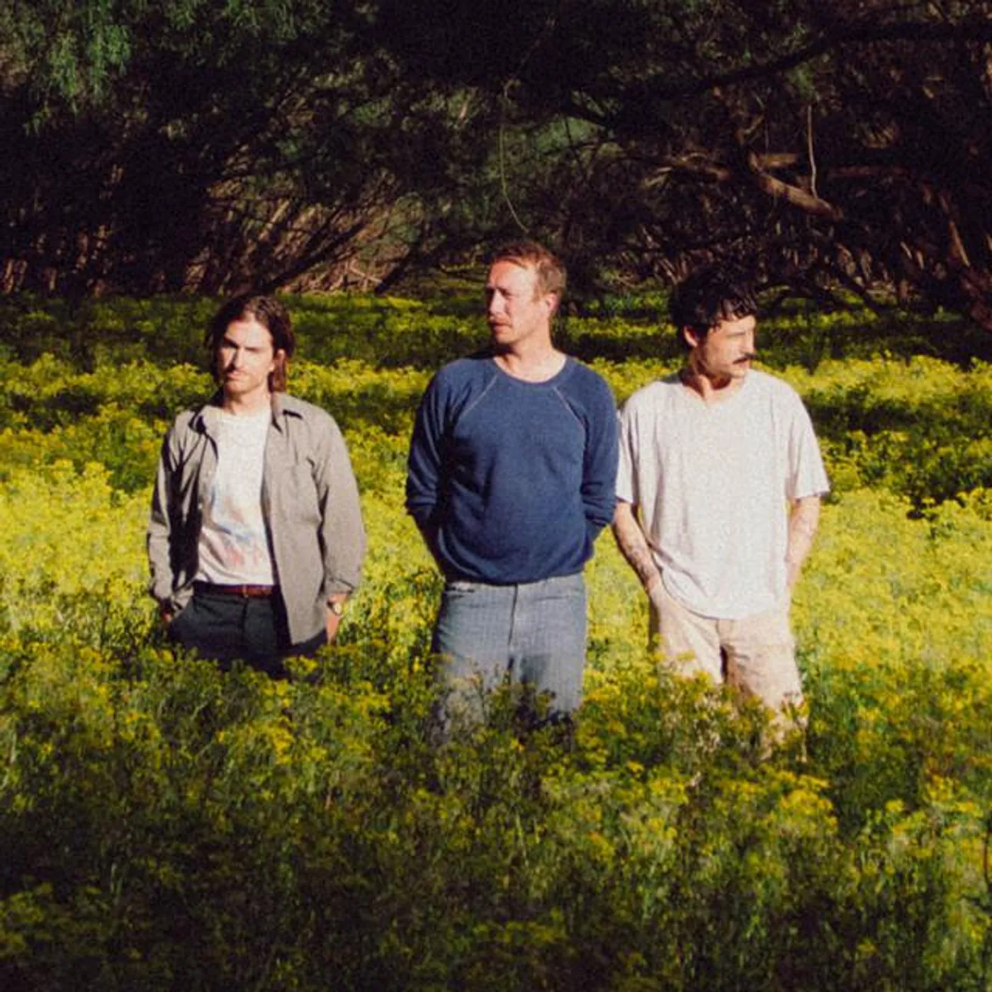 Wilderado Brand Page