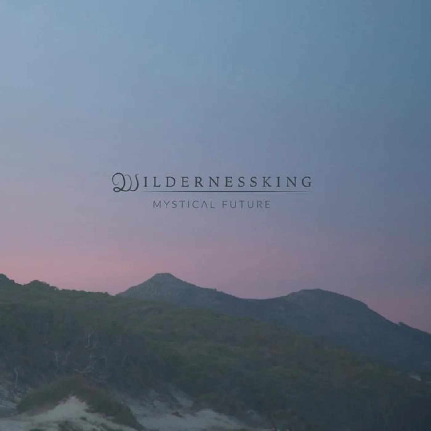 Wildernessking