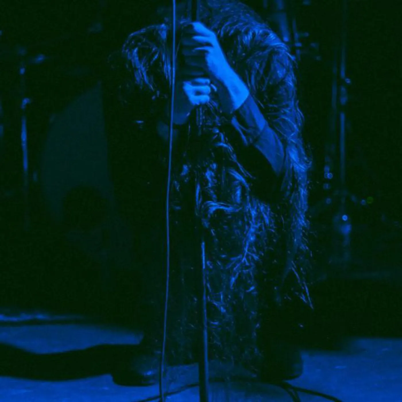 Wilderness. Brand Page