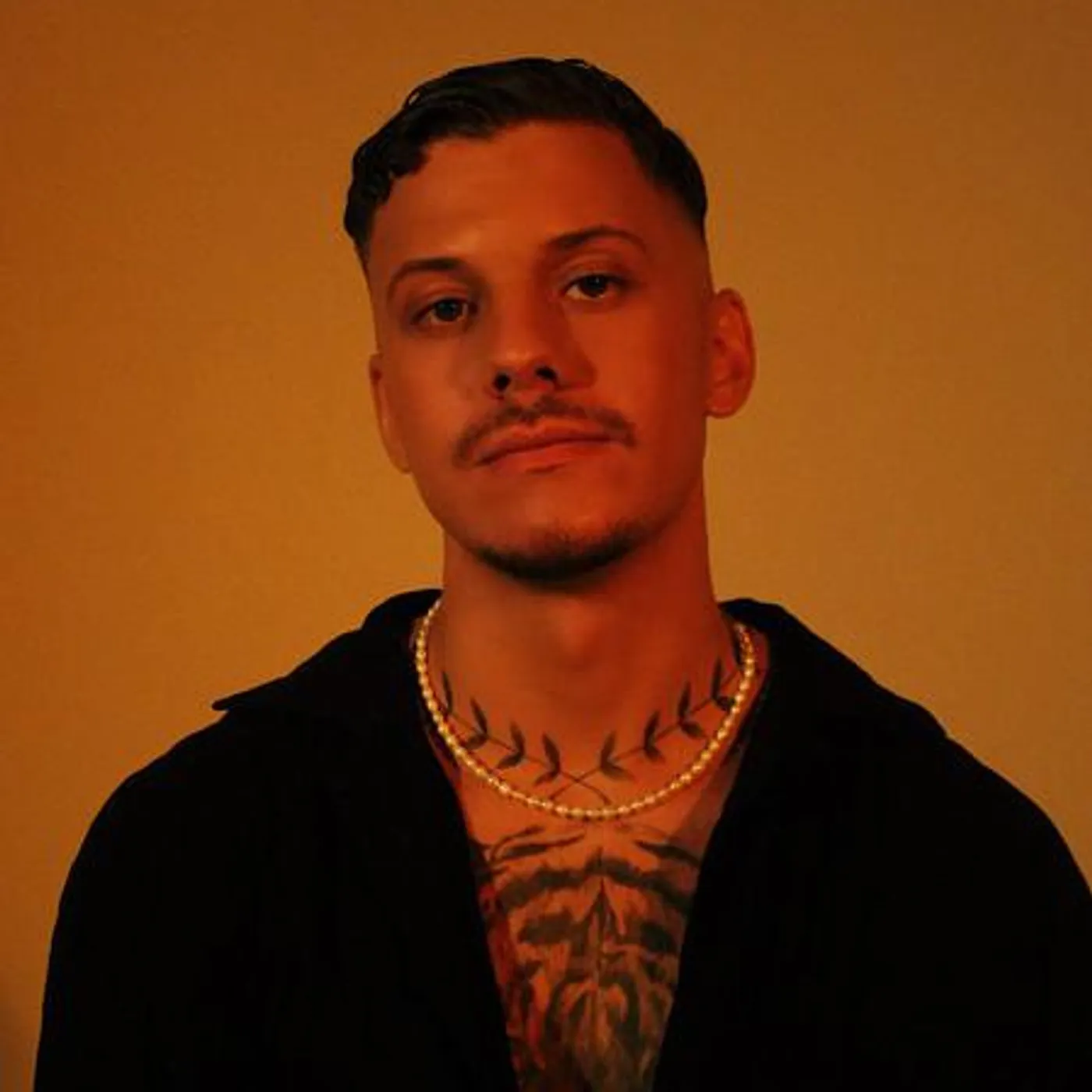 William Stridh Brand Page