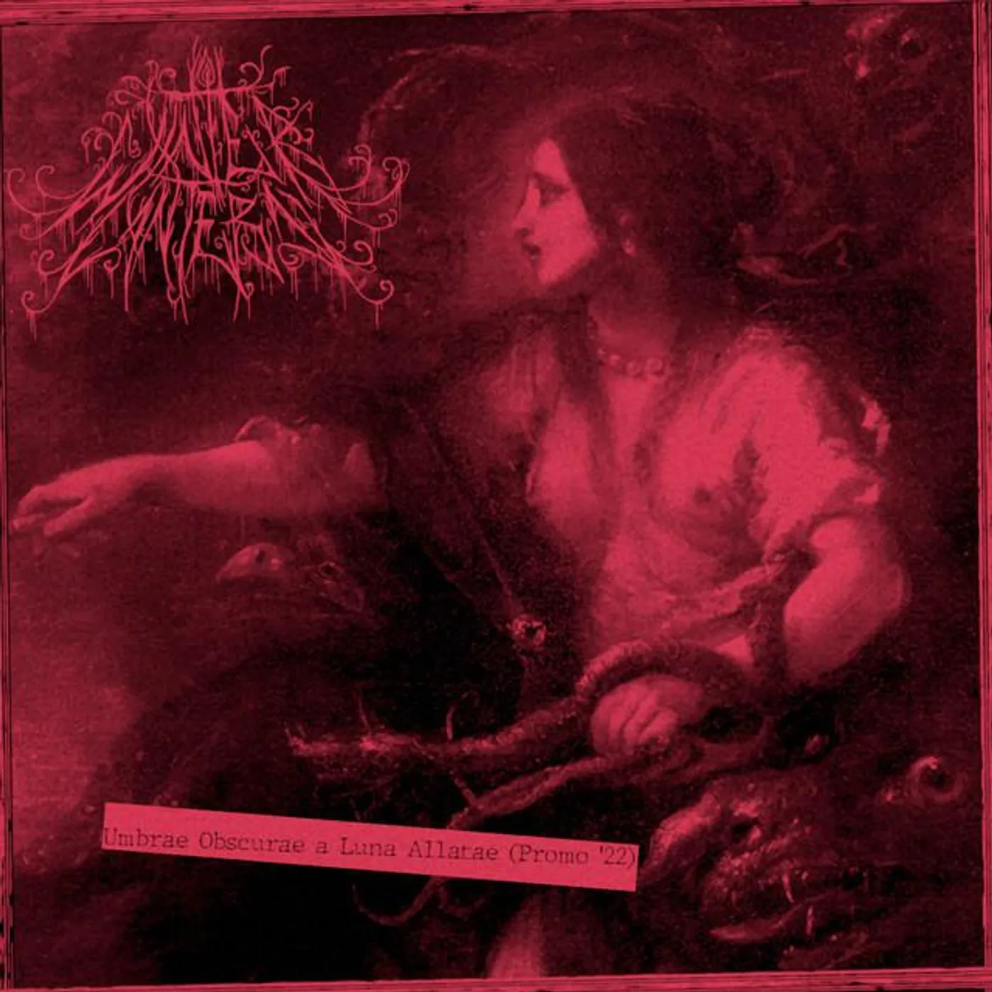 Winter Lantern Brand Page