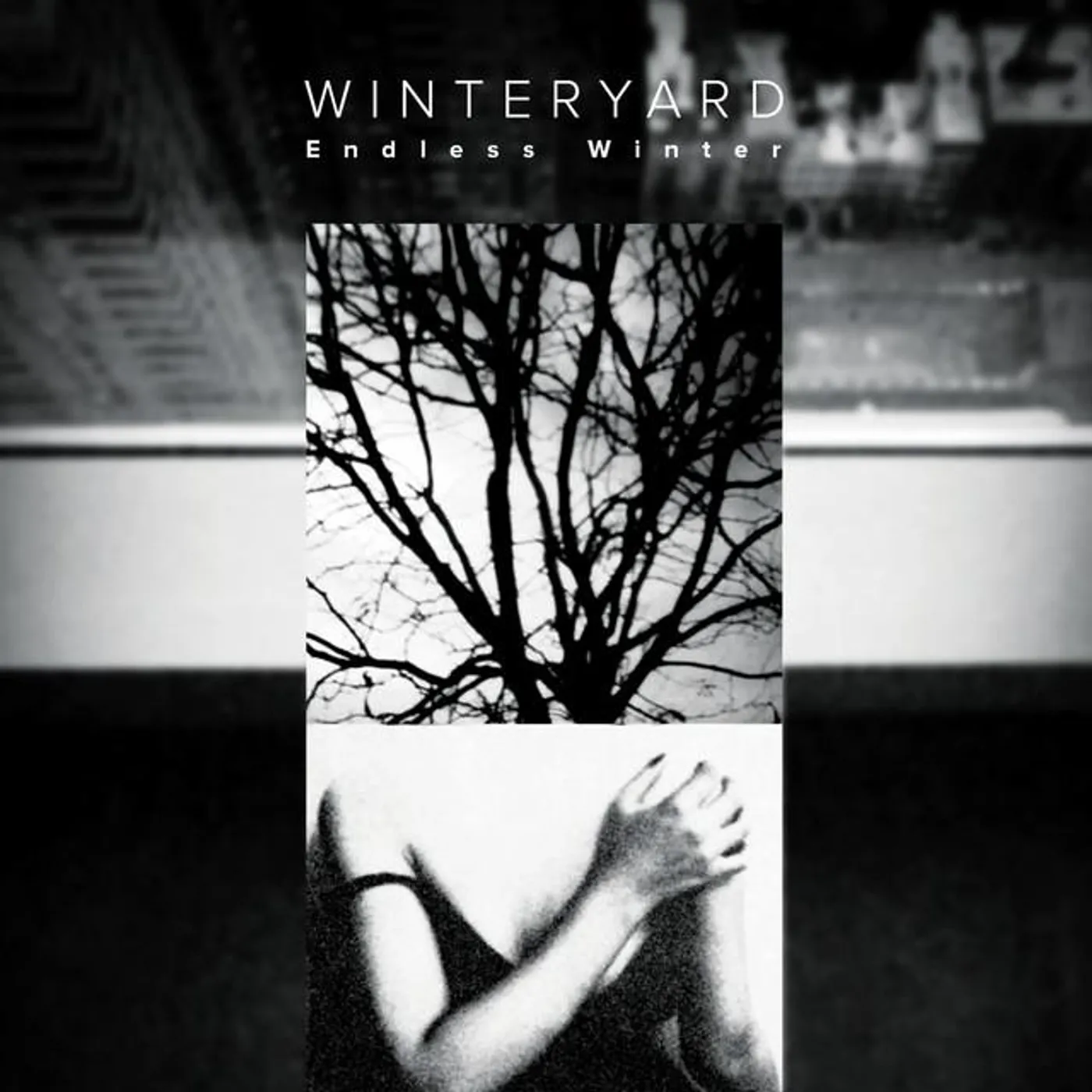 Winteryard