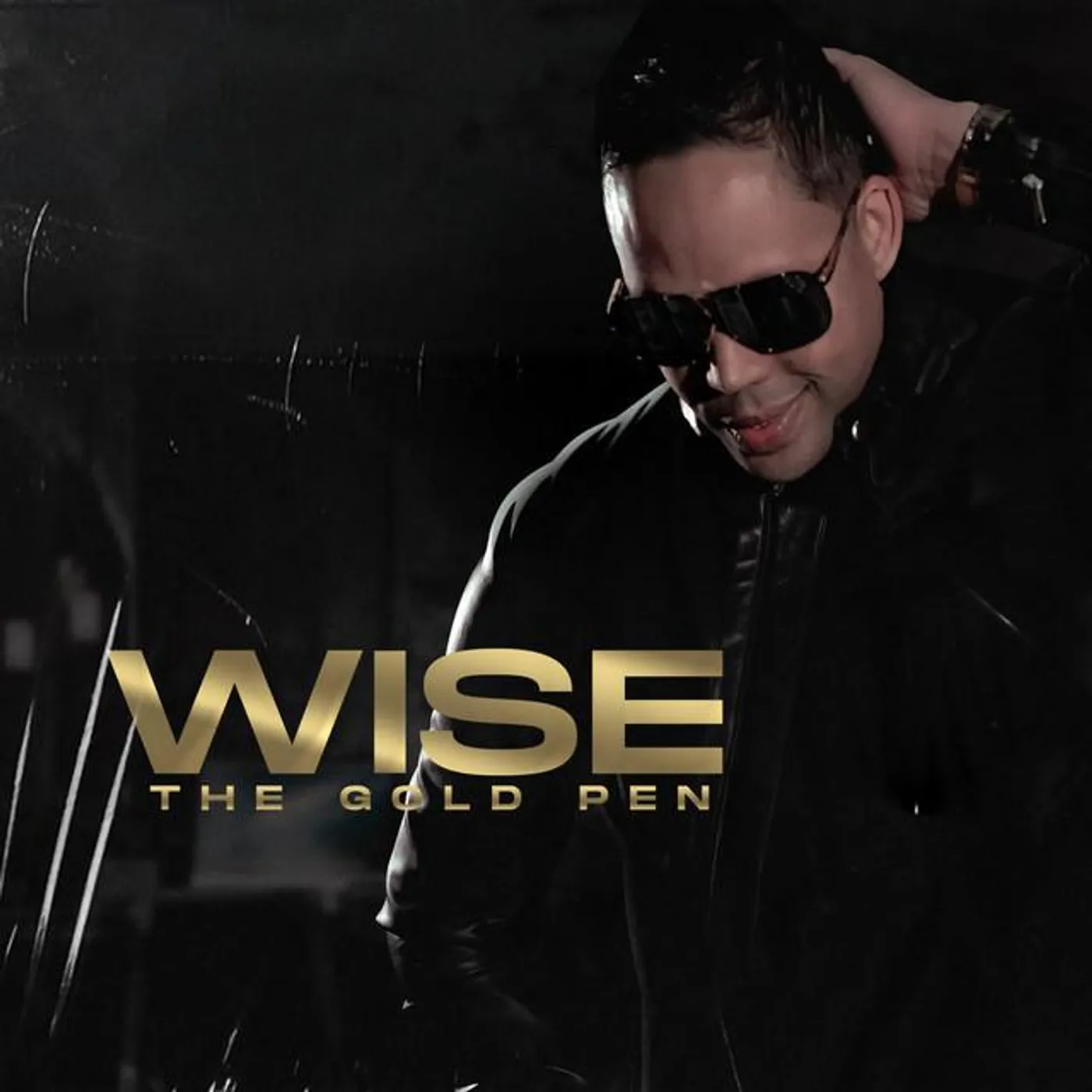 Wise "the Gold Pen" Brand Page