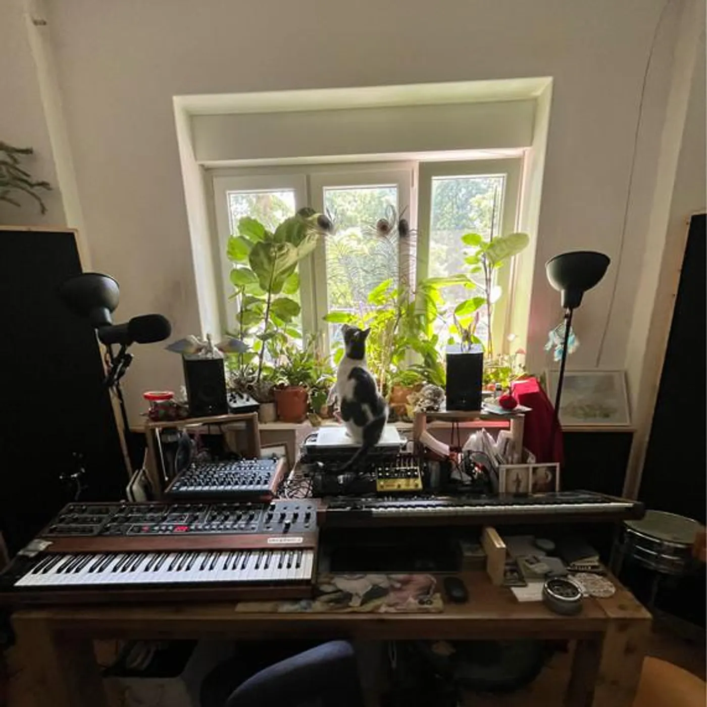 Wishes and Dreams Brand Page