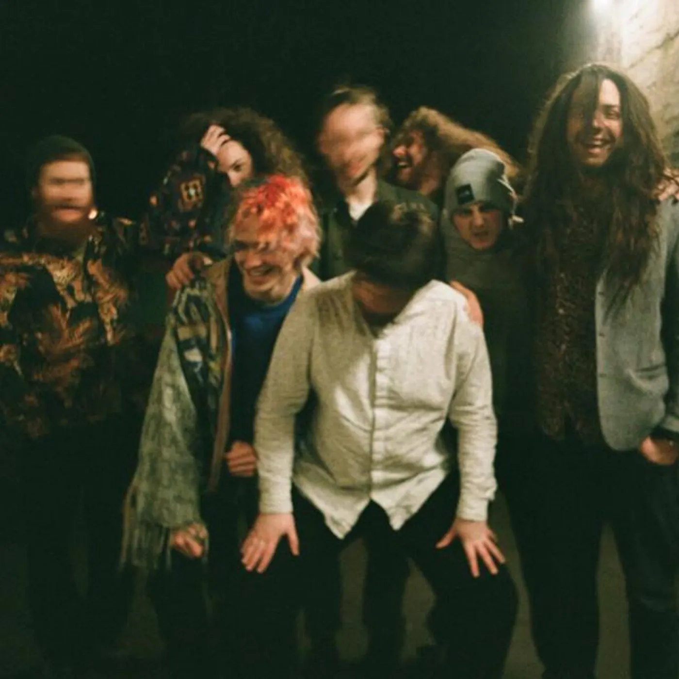 Town of Cats Brand Page