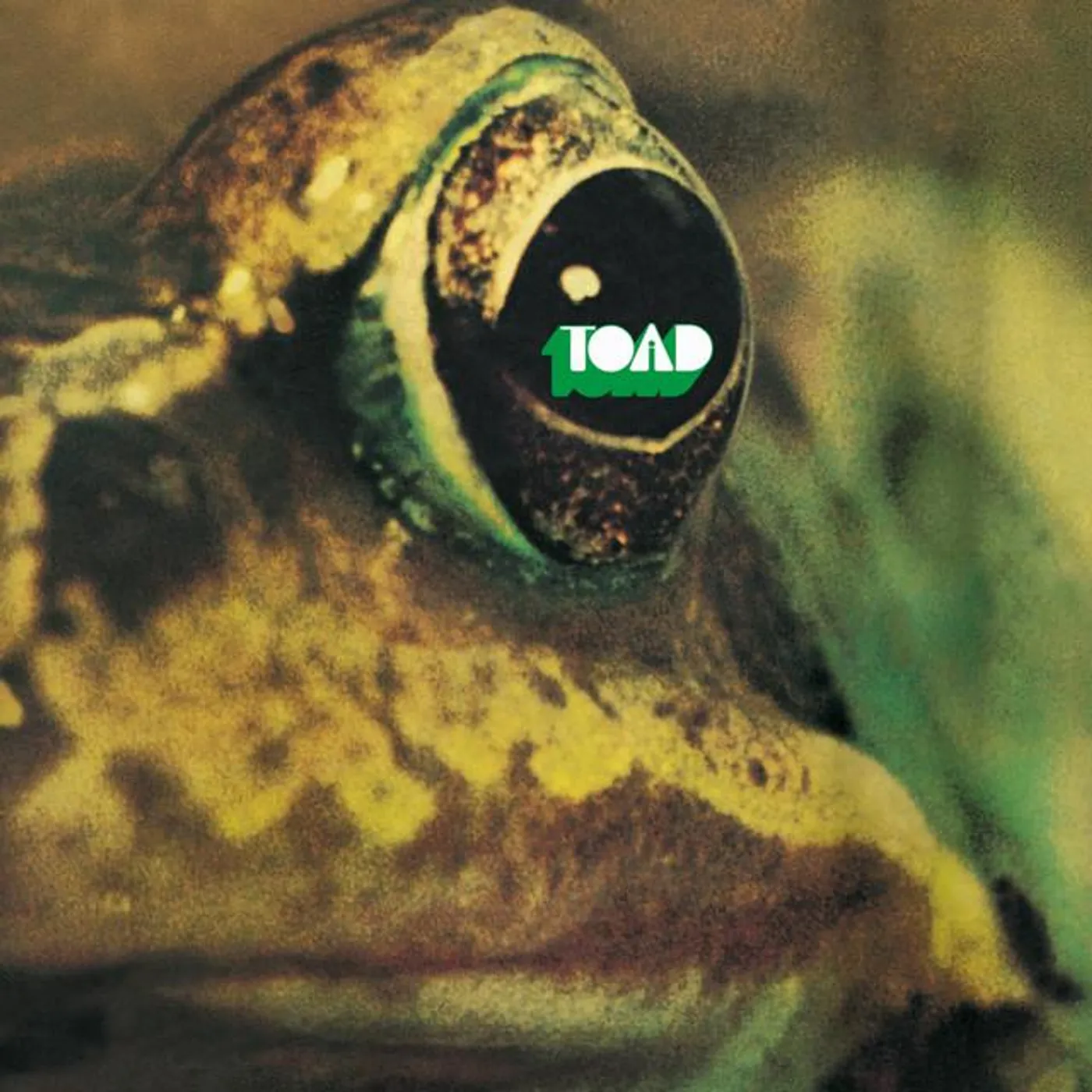 Toad Brand Page