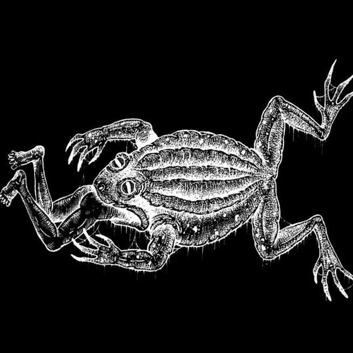 Toadeater Brand Page