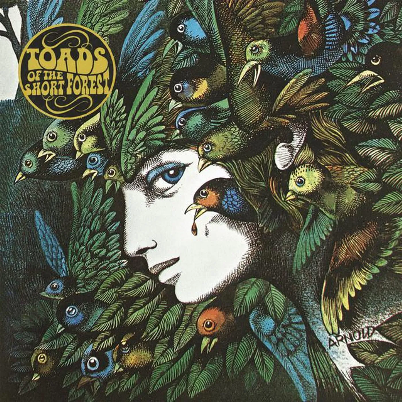 Toads of the Short Forest