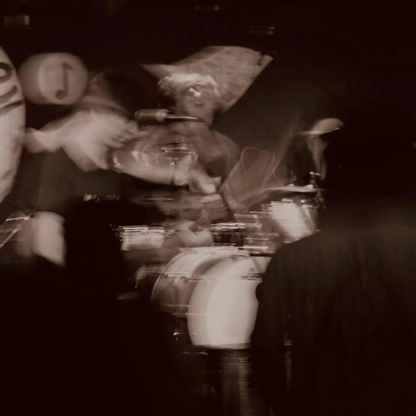 Toboggan Fiasco Brand Page