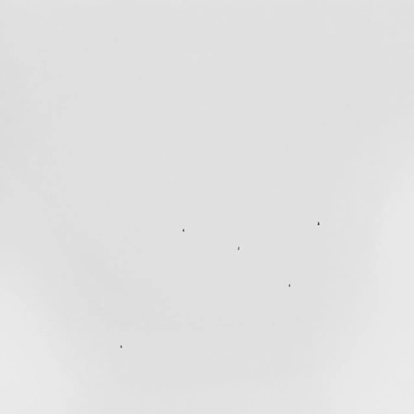 Todd Anderson-Kunert