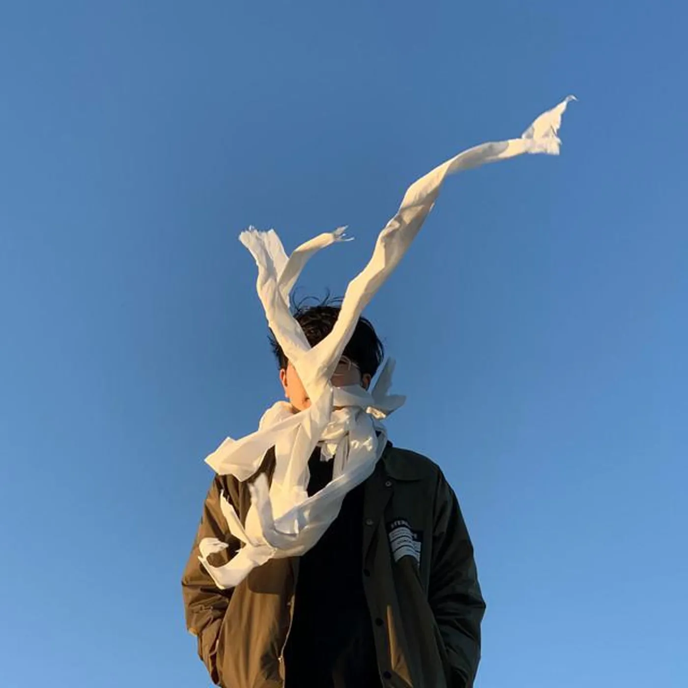 Toiret Status Brand Page