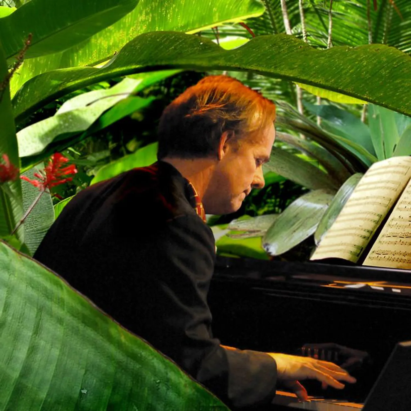 Tom McDermott Brand Page