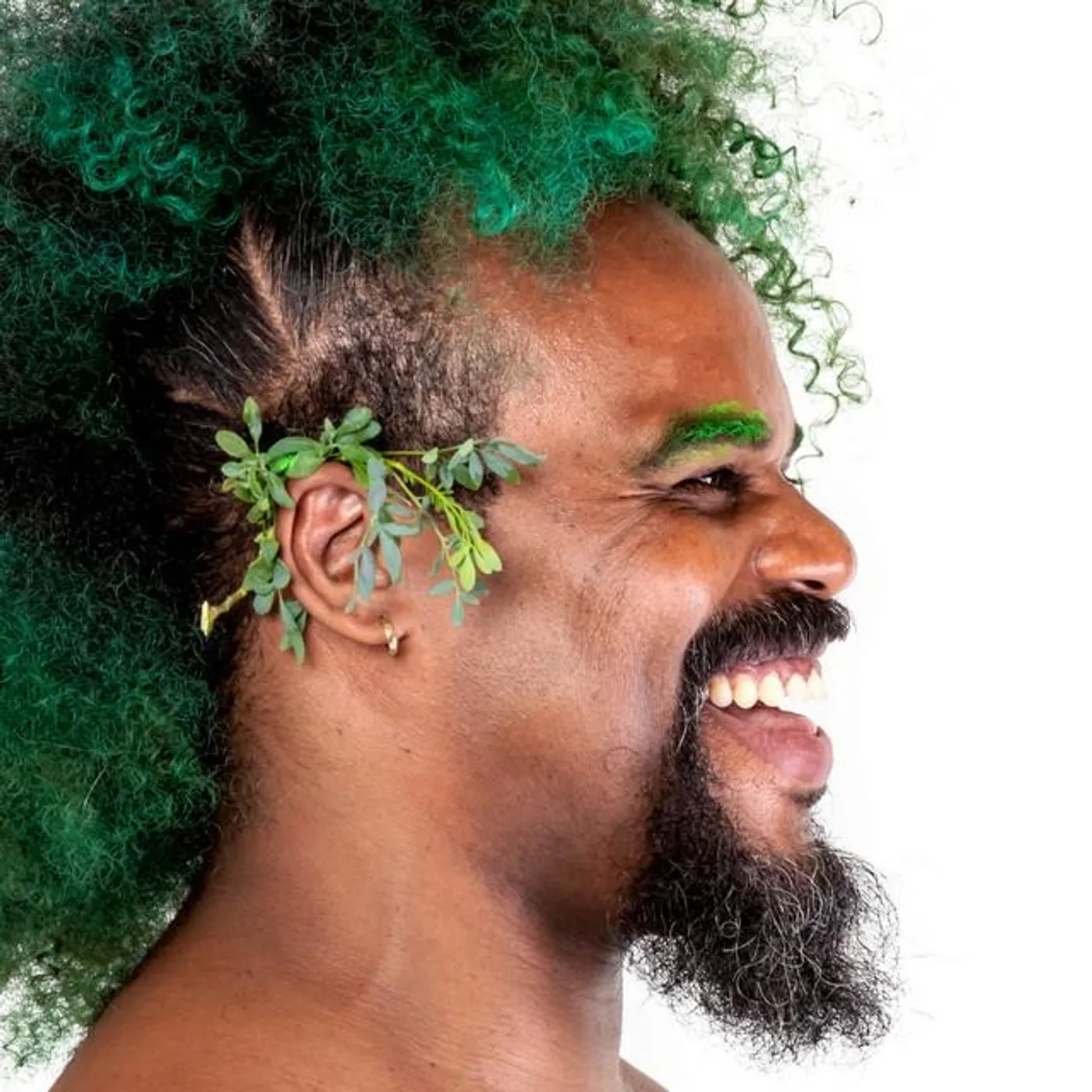 Tom Nascimento Brand Page