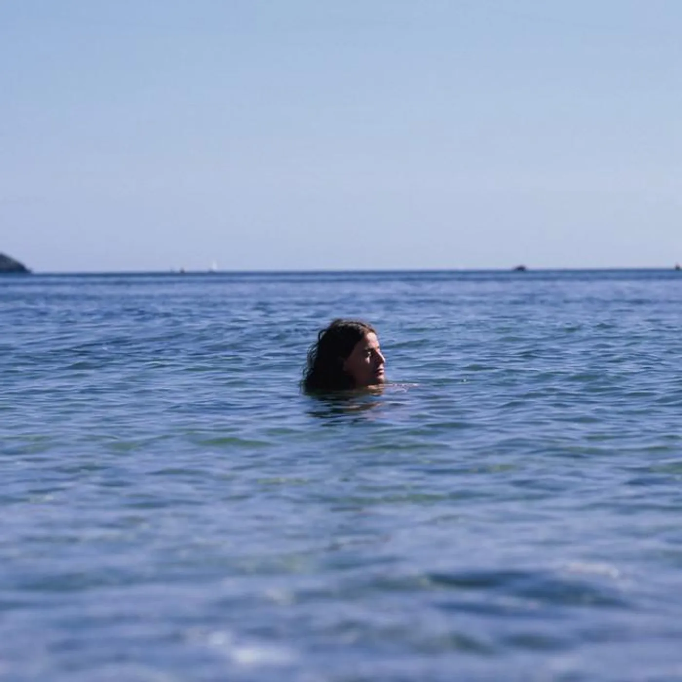 Tom Adams Brand Page