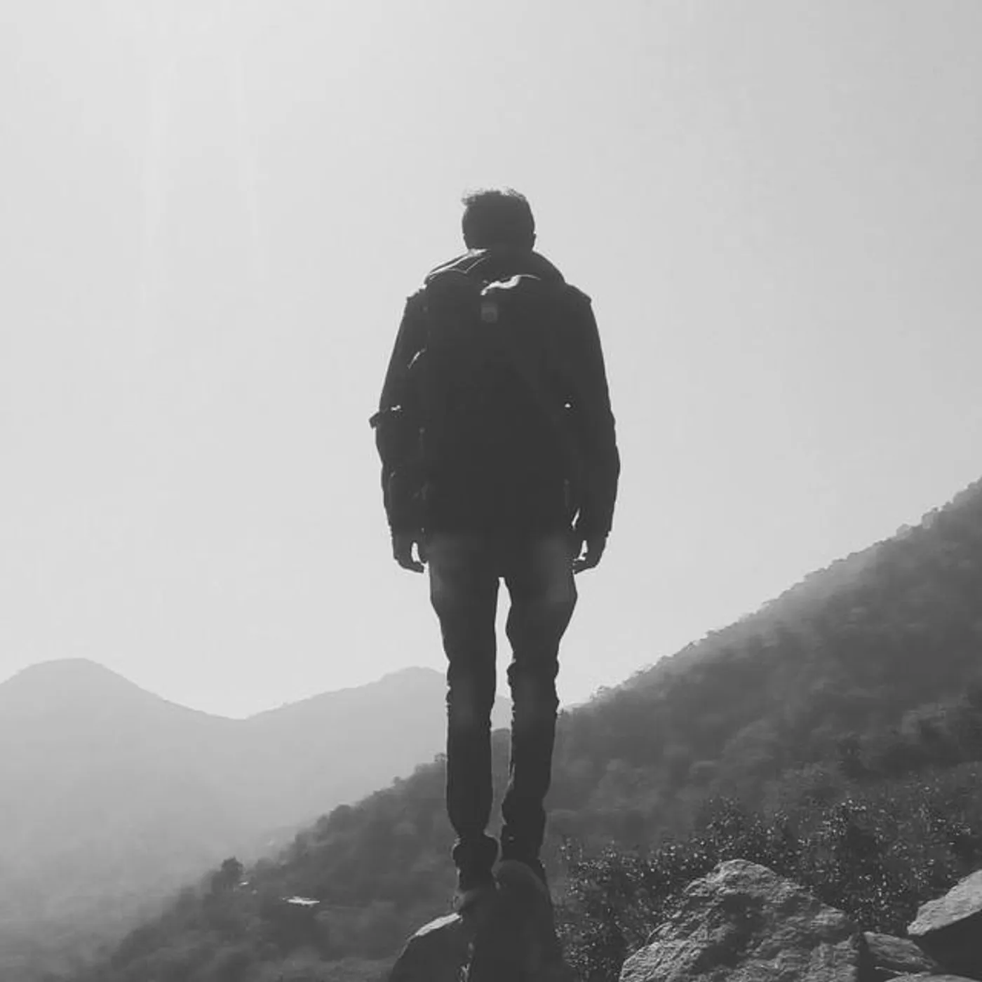 Tom Harmon Brand Page