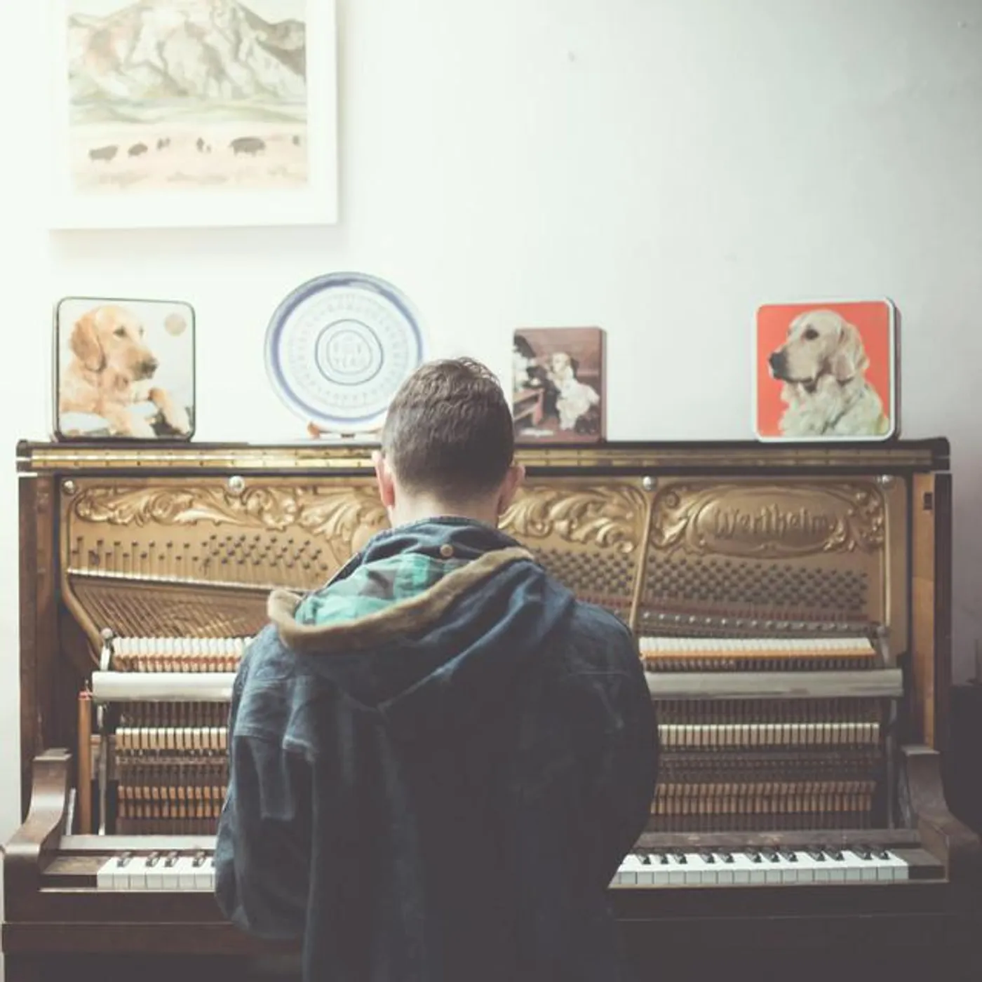 Tom Iansek Brand Page