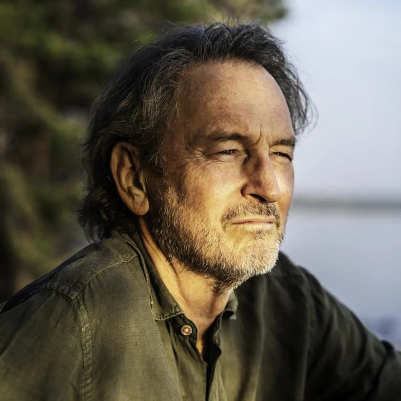 Tomas Ledin Brand Page