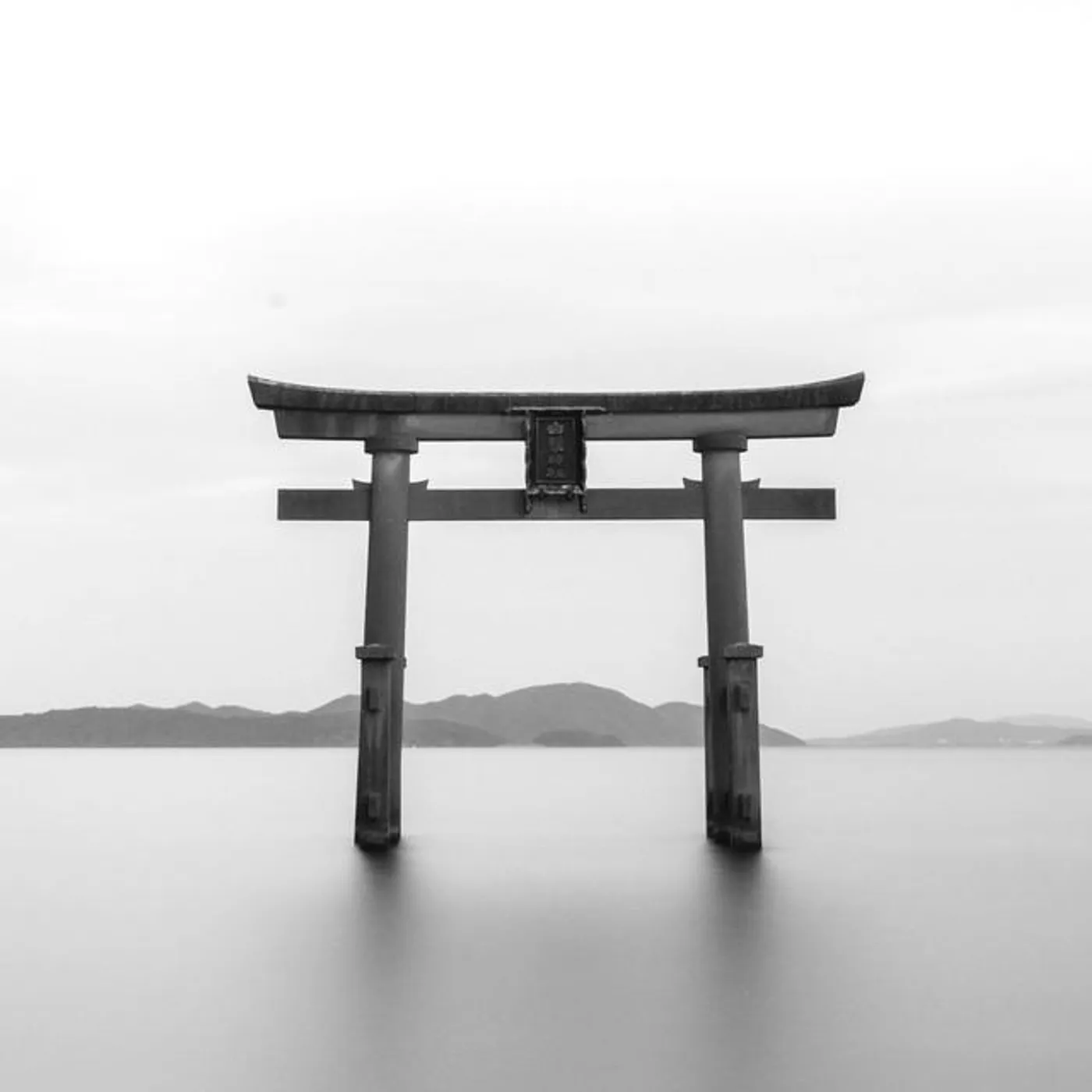 Tonal Zen Brand Page