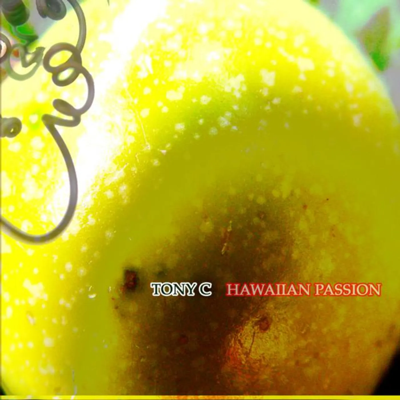 Tony Conjugacion Brand Page